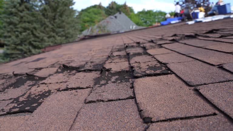 Best Emergency Roof Repair Services  in Eclectic, AL