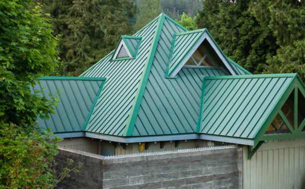 Best Roof Moss and Algae Removal  in Eclectic, AL