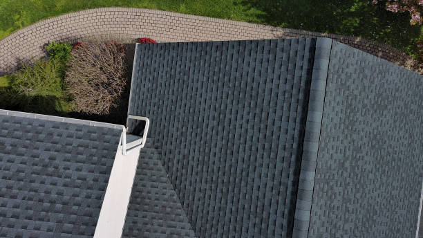 Best Roof Leak Repair  in Eclectic, AL