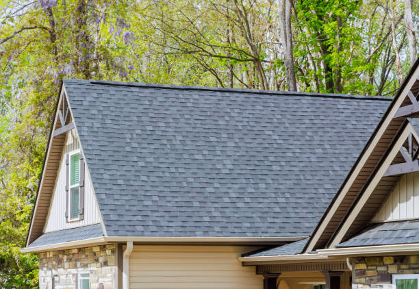 Best Sheet Metal Roofing  in Eclectic, AL